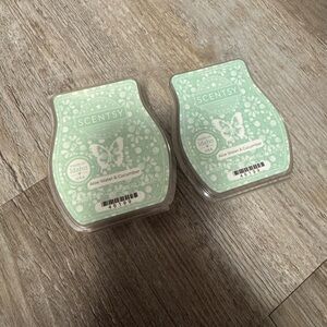 Scentsy Aloe Water & Cucumber